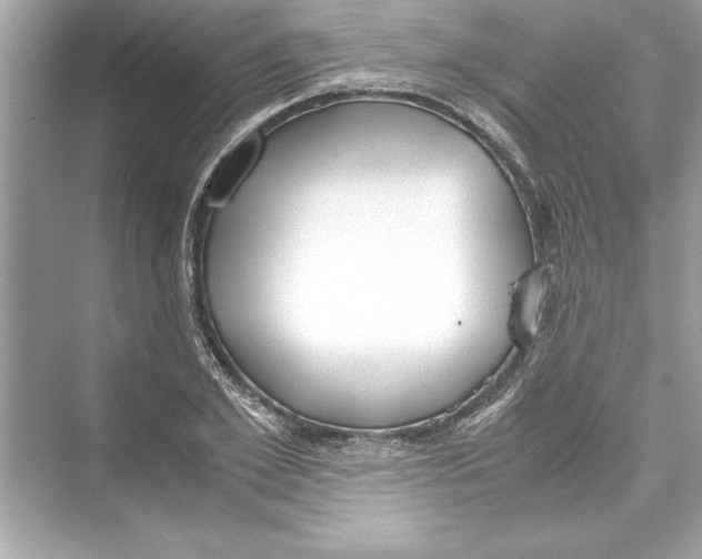 X0000072550981200608111834