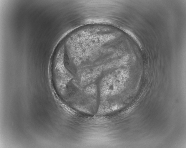 X0000072550983200608111834