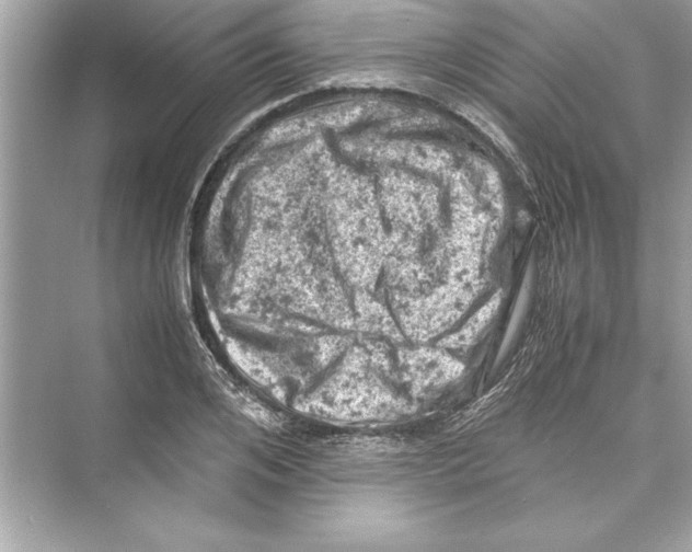 X0000072550984200608111834