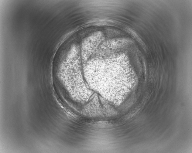 X0000072550986200608111834