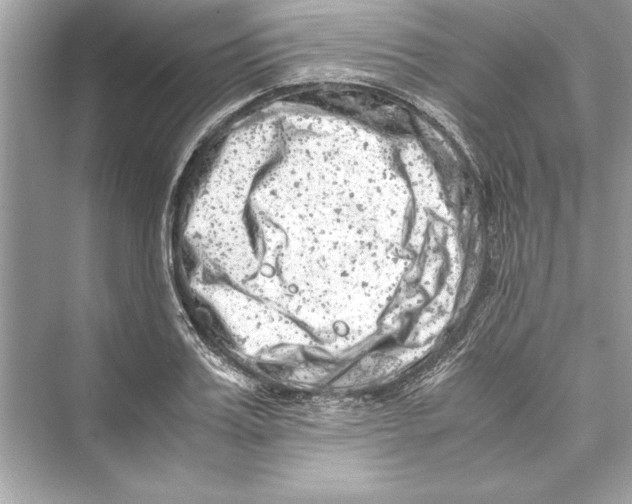 X0000072550987200608111834