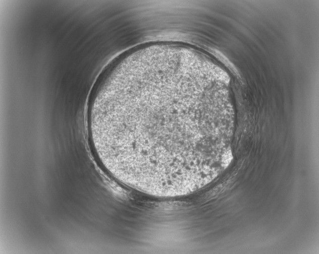 X0000072550988200608111834