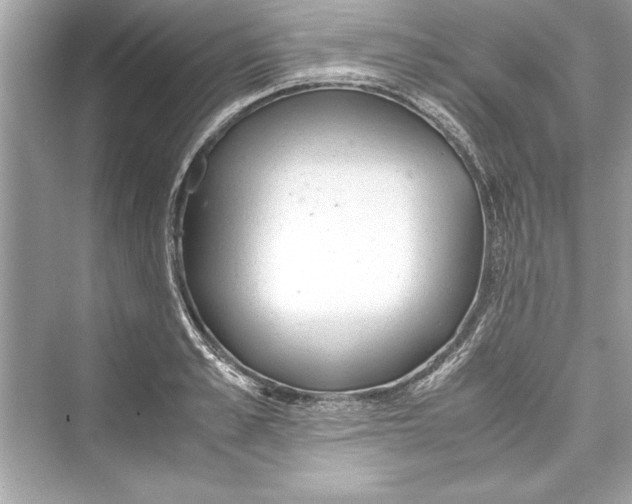 X0000072550989200608111834