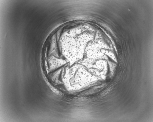 X0000072550991200608111834