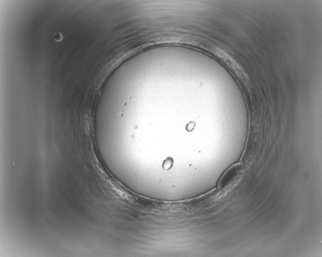 X0000072550993200608111834