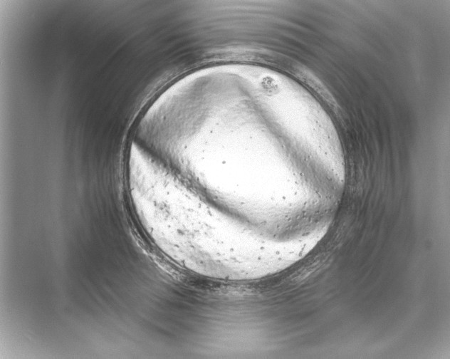 X0000072550994200608111834