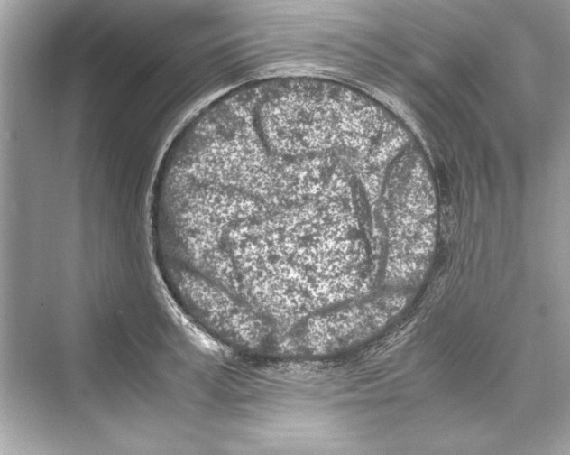 X0000072550995200608111834