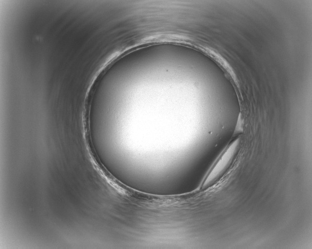 X0000072550997200608111834