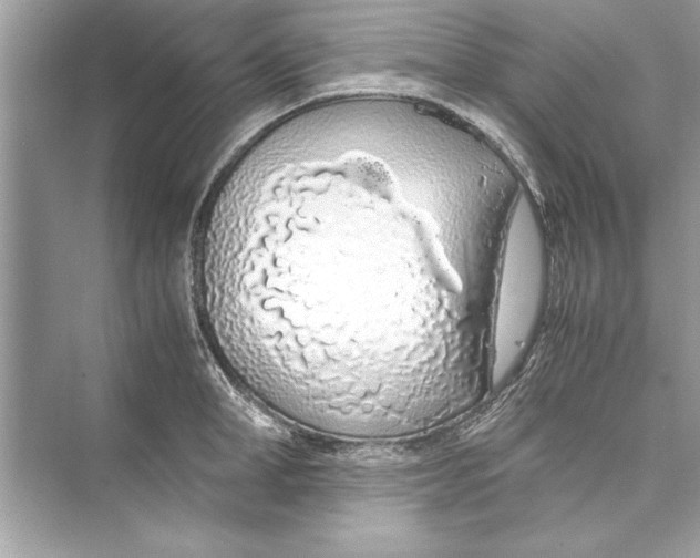 X0000072550998200608111834