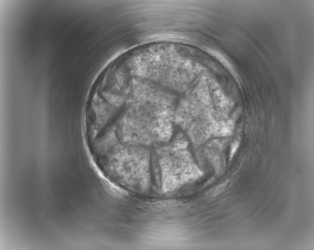 X0000072550999200608111834