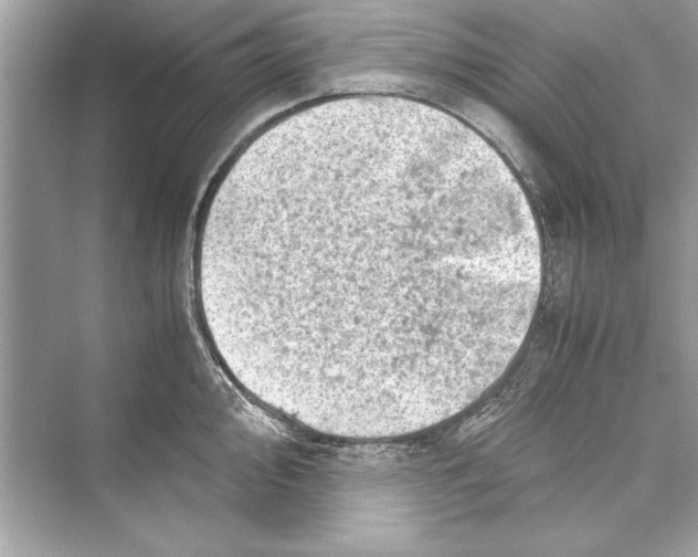 X0000072551000200608111834