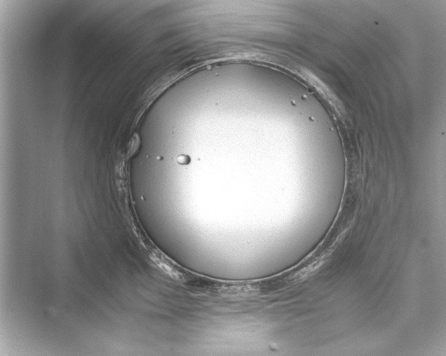 X0000072551001200608111834