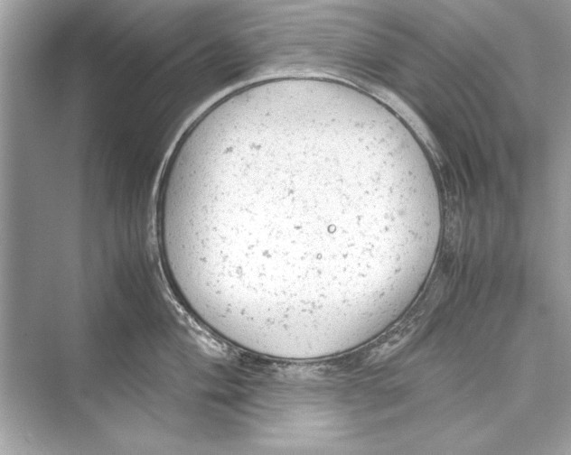 X0000072551004200608111834