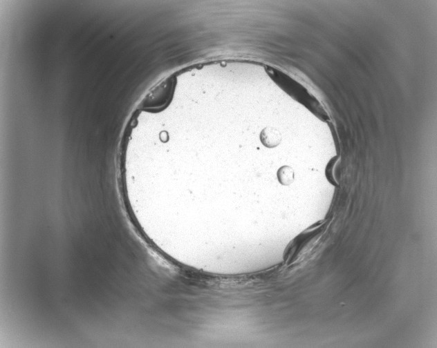 X0000072551005200608111834