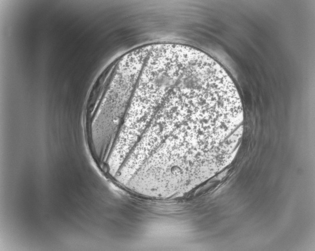 X0000072551007200608111834