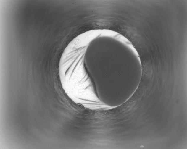 X0000072551009200608111833