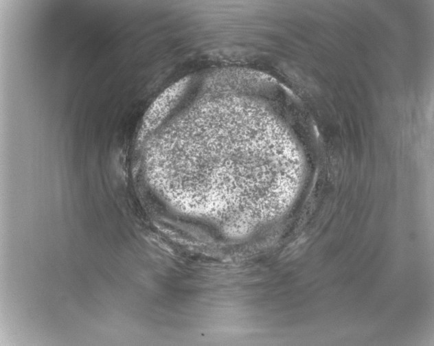 X0000072551010200608111833