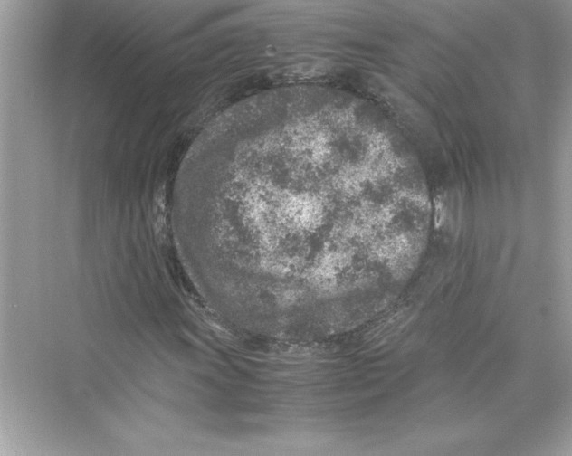 X0000072551011200608111833