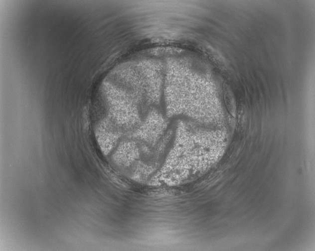 X0000072551012200608111833