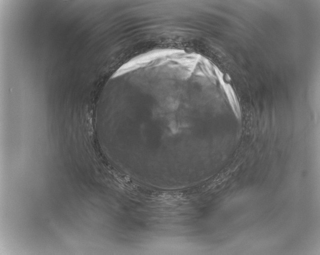 X0000072551013200608111833