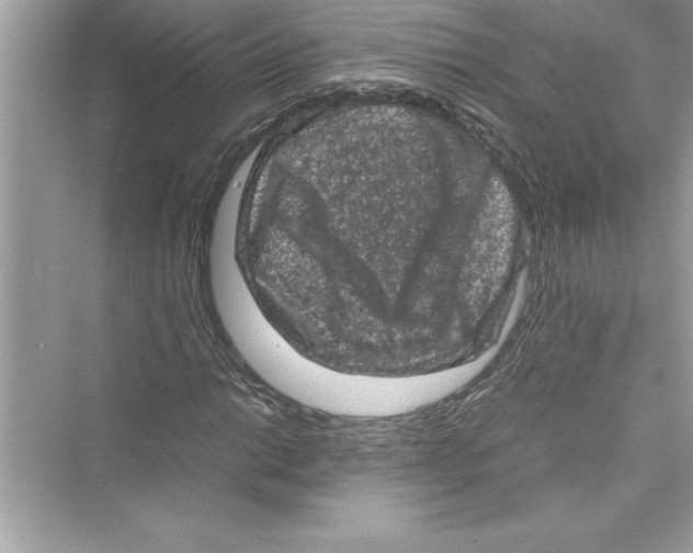 X0000072551014200608111833