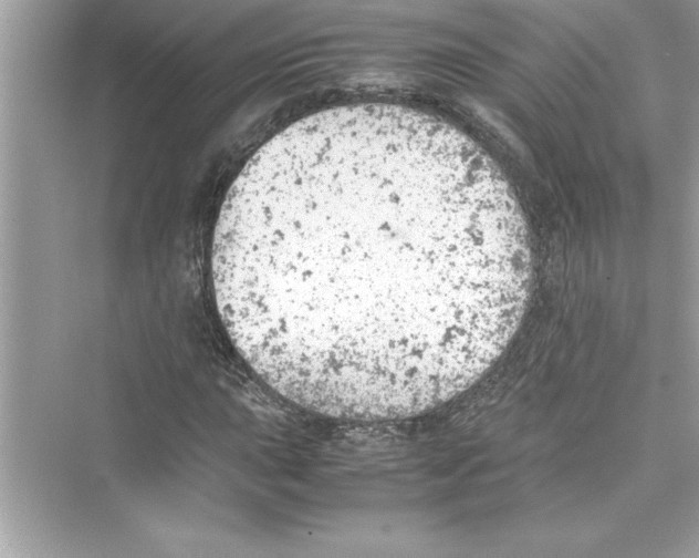 X0000072551015200608111833