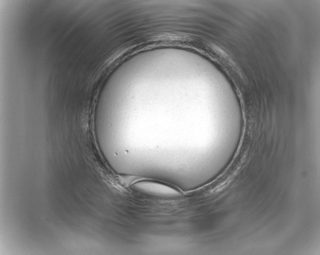 X0000072551017200608111833