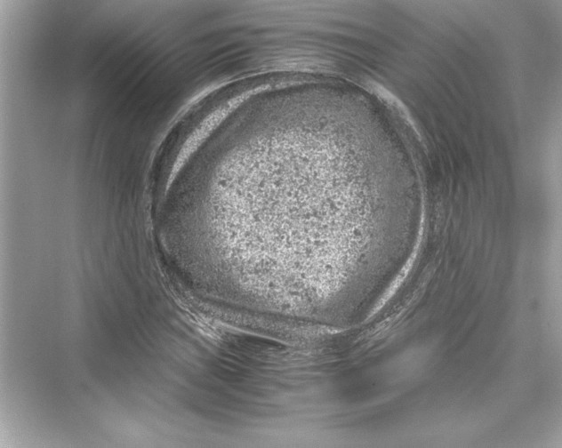 X0000072551019200608111833