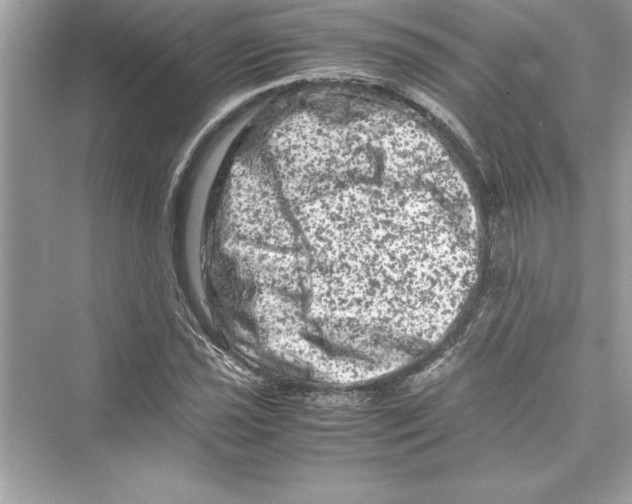 X0000072551021200608111833