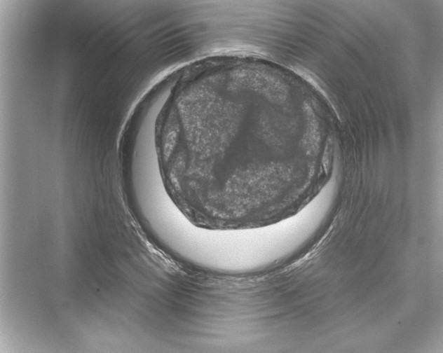 X0000072551022200608111833