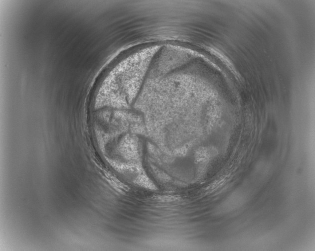 X0000072551023200608111833