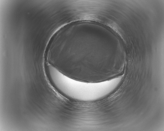 X0000072551024200608111833