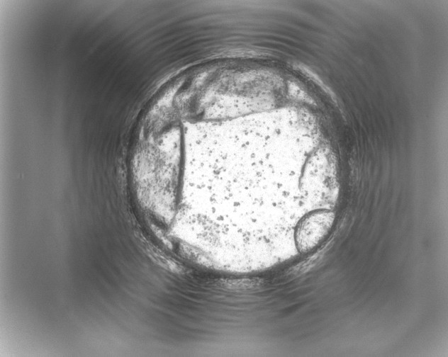 X0000072551025200608111833