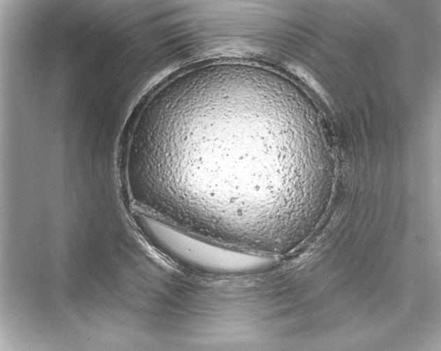 X0000072551026200608111833