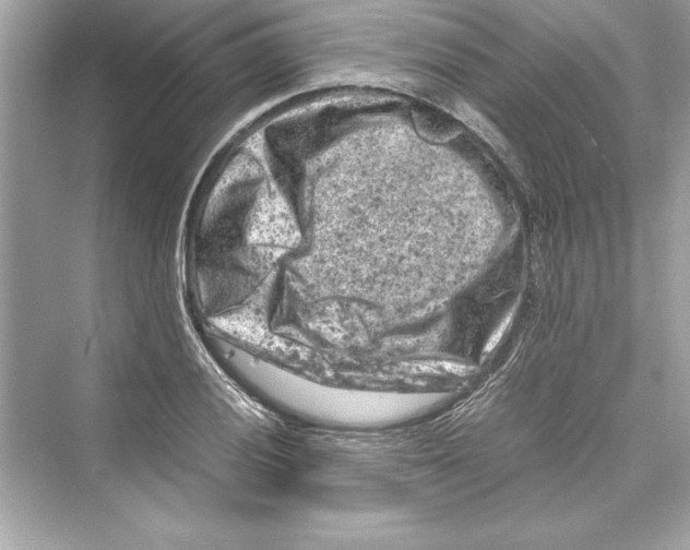 X0000072551028200608111833