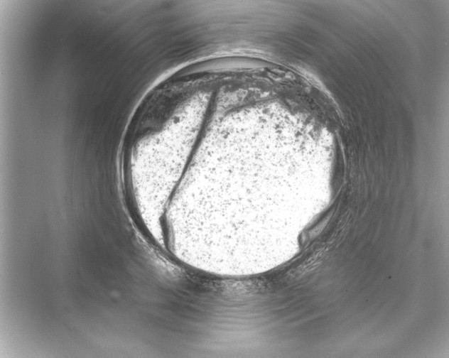 X0000072551032200608111833