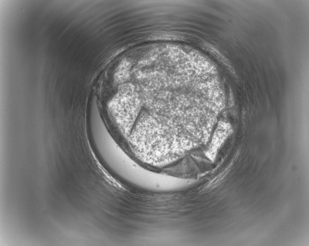 X0000072551033200608111833