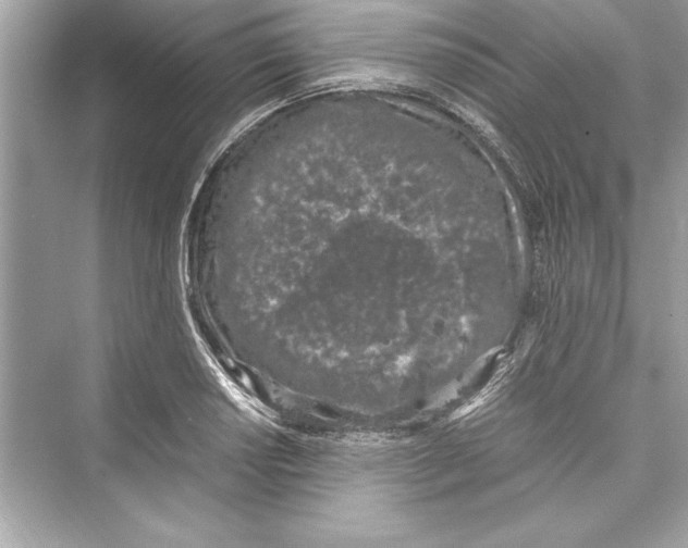 X0000072551034200608111833