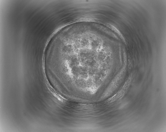 X0000072551035200608111833