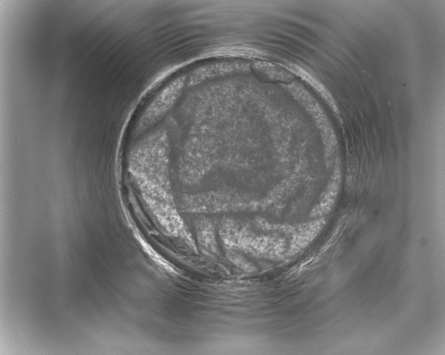 X0000072551037200608111833