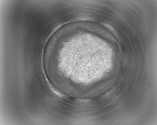 X0000072551039200608111833