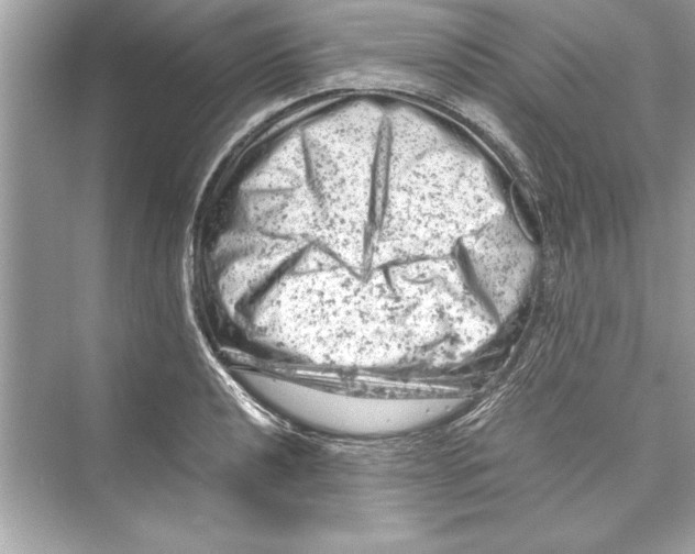 X0000072551040200608111833