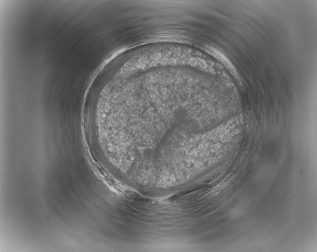 X0000072551043200608111834