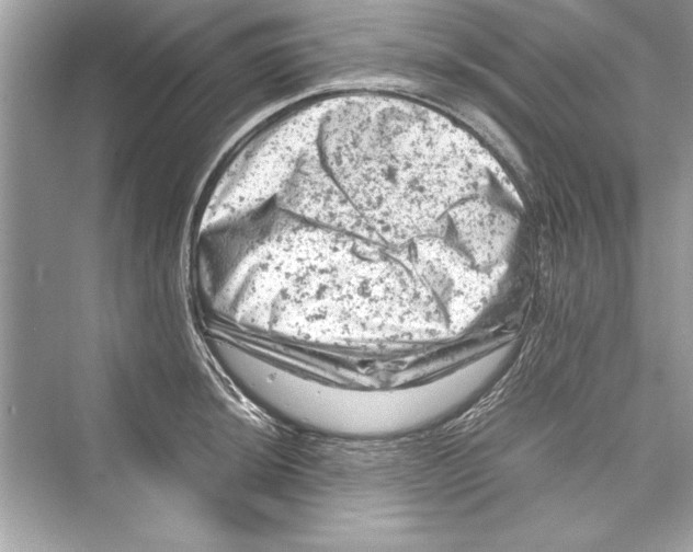 X0000072551044200608111834