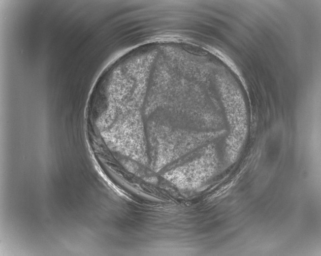 X0000072551045200608111834