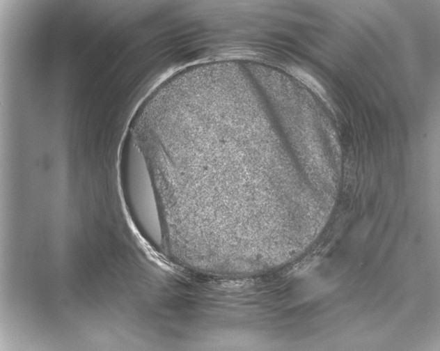 X0000072551047200608111834