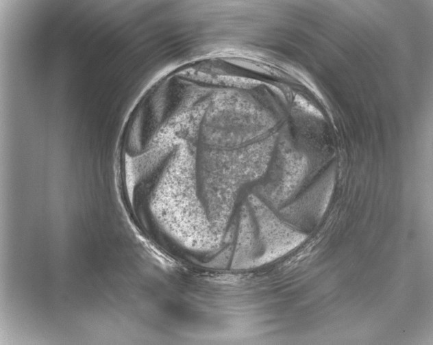 X0000072551048200608111834