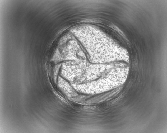 X0000072551049200608111834