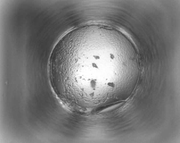 X0000072551050200608111834