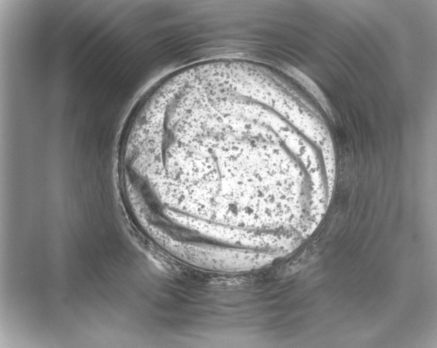 X0000072551051200608111834